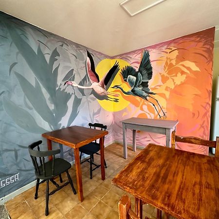 מלון אל קלפטה Amancay, Hostal Patagonico מראה חיצוני תמונה