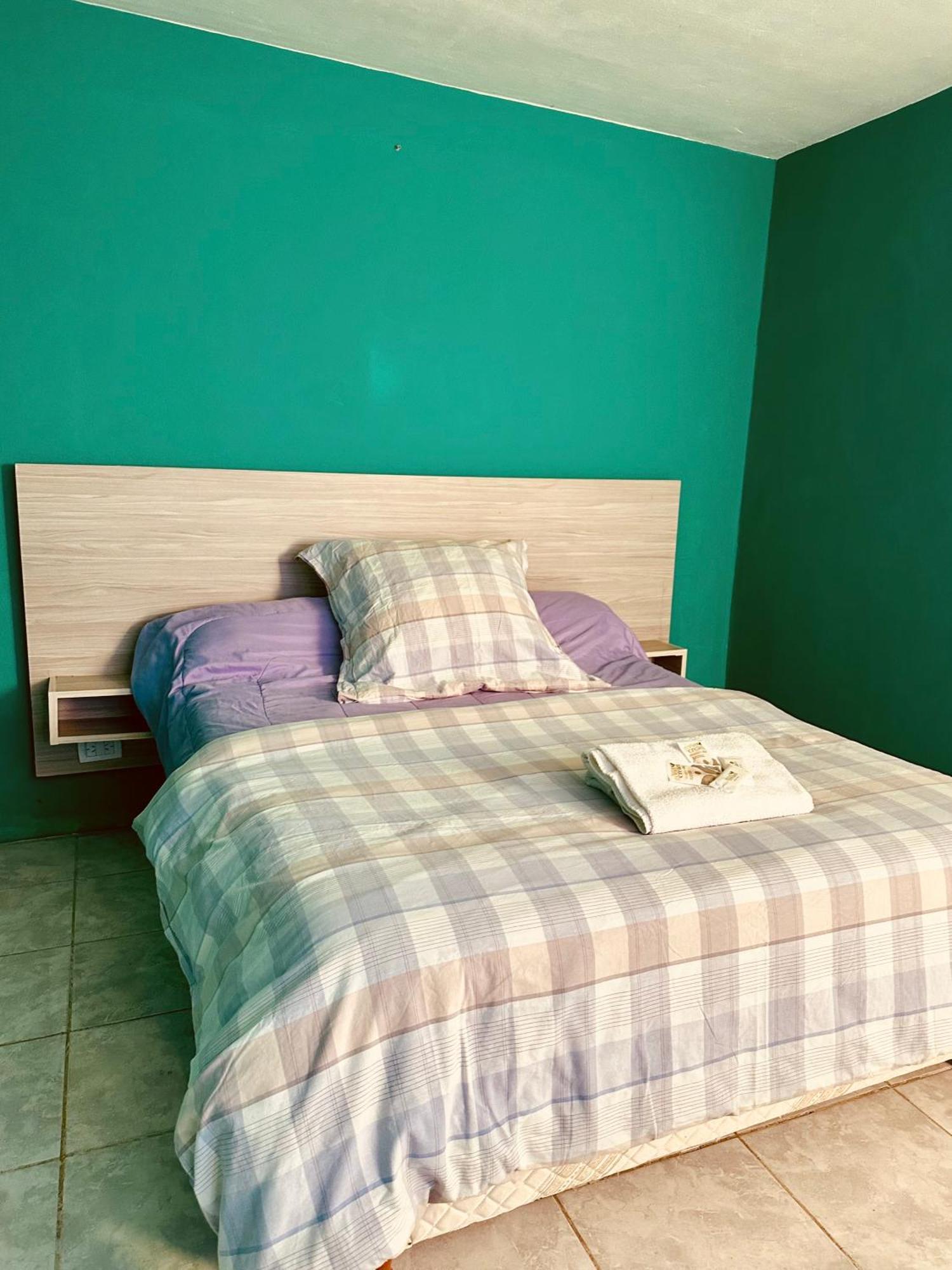 מלון אל קלפטה Amancay, Hostal Patagonico מראה חיצוני תמונה